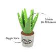 Aloe-Va You Plant play 1