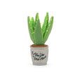 Aloe-Va You Plant play 2