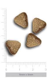 Amanova Adult Mini Digitive - Divine Rabbit brok