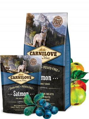 carnilove salmon for adult dogs