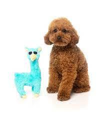 Fuzzyard Plush Toy Kendrich Llama Teal