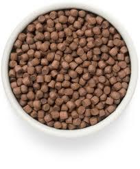 Grandorf Adult Mini - Fresh brok