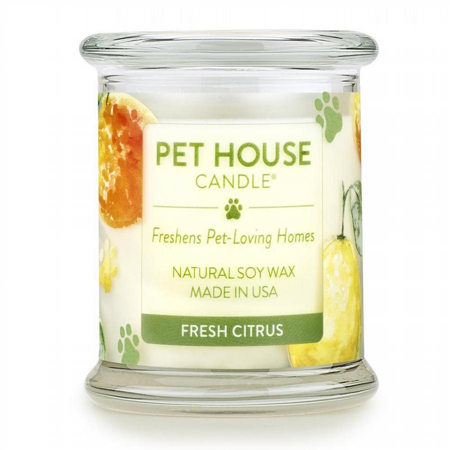Pet House Candle Fresh Citrus - Groot