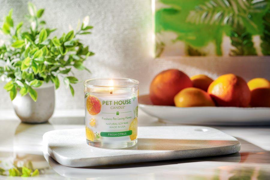 Pet House Candle Fresh Citrus - Groot2