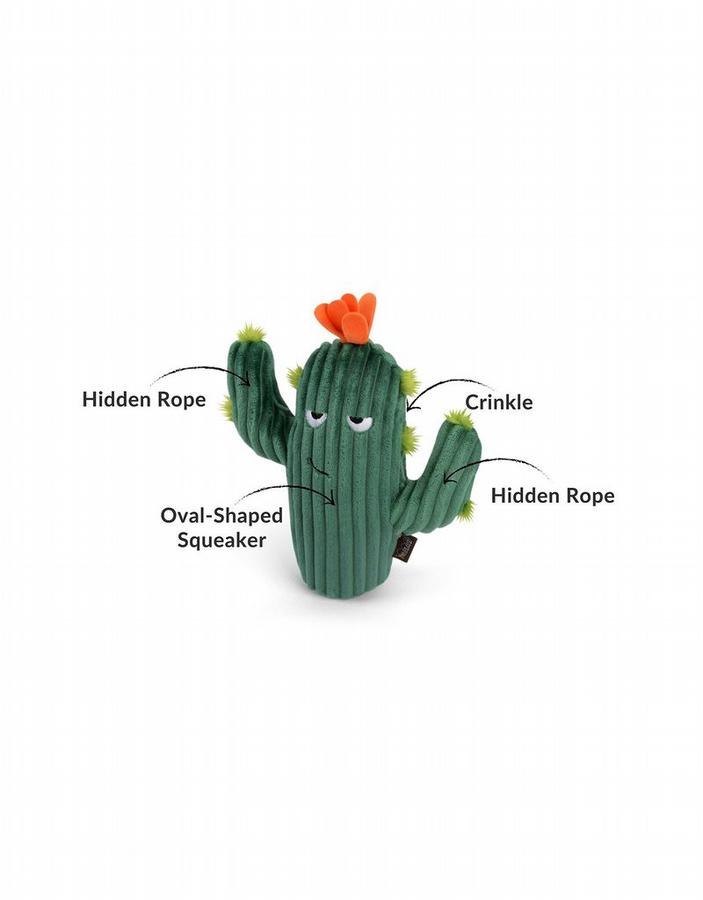 Prickly Pup Cactus1