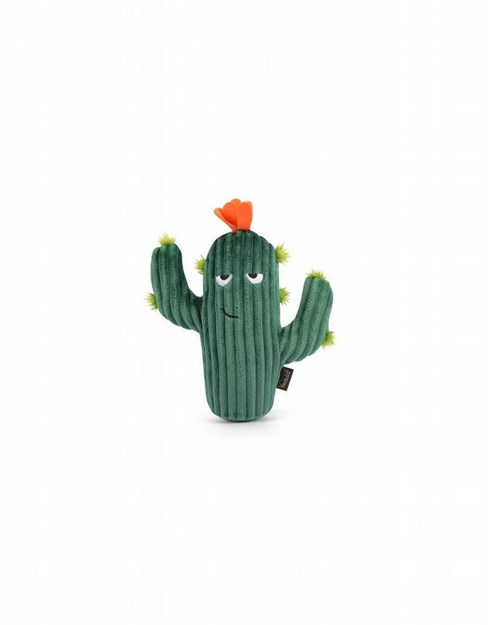 Prickly Pup Cactus3