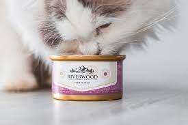 Riverwood Caviar for Cats - Tuna In Jelly 1