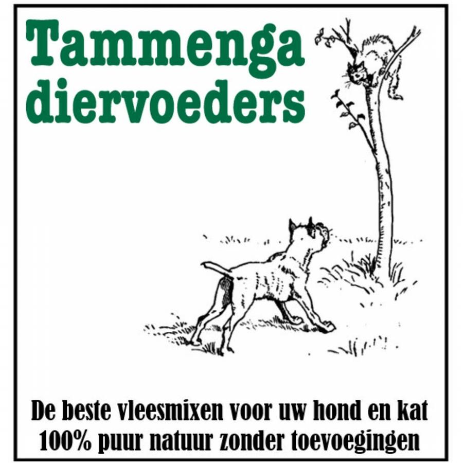 tammenga logo1