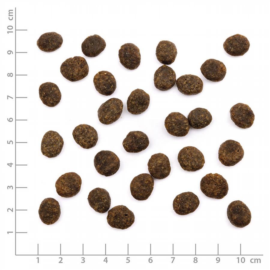 Wildes land Cat - Salmon & Trout 1,2 kilo3