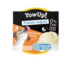 Yowup Ice Cream Yogurt Salmon Tartar