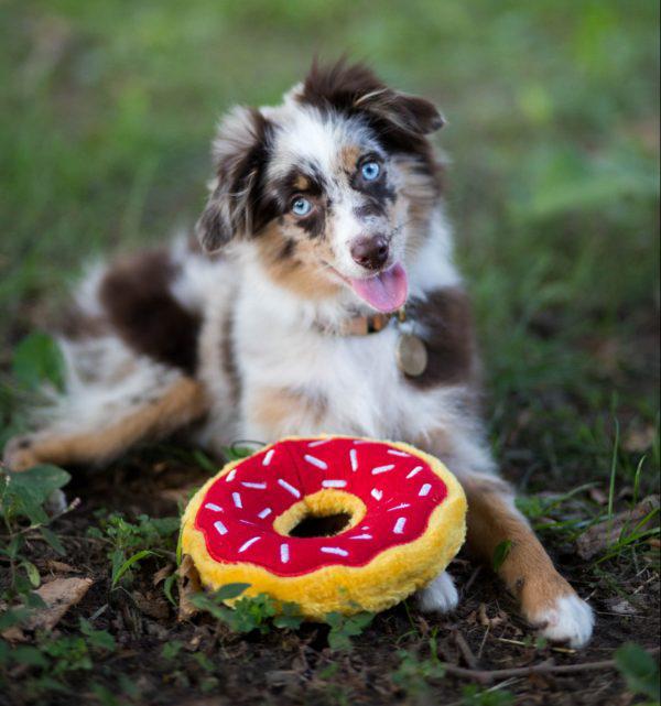 ZippyPaws Donut Cherry 18 cm2