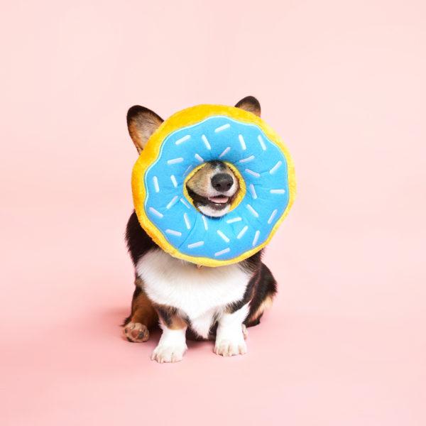 ZippyPaws Jumbo Donut Bleuberry 2