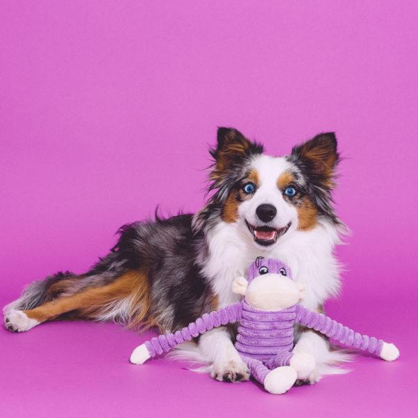 ZippyPaws Spencer Crinkle Monkey S Purple3