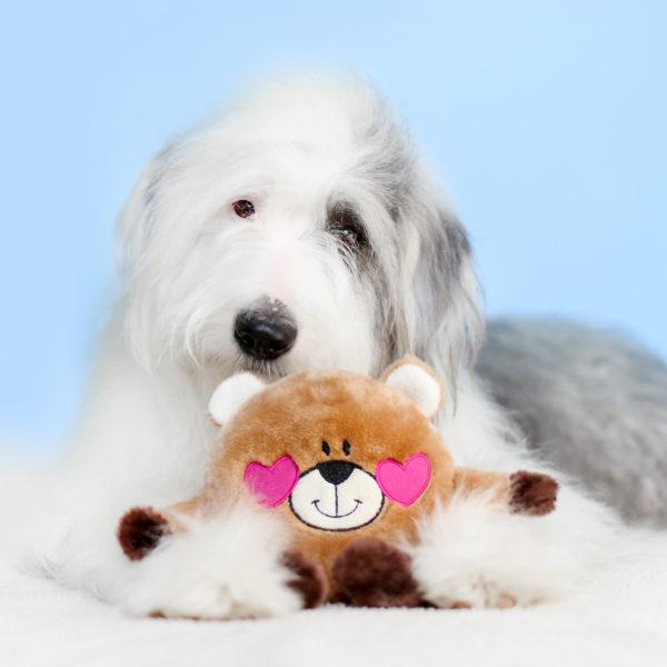 ZippyPaws  Valentines Brainey � Bear in Love4