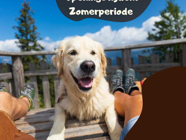 zomervakantie